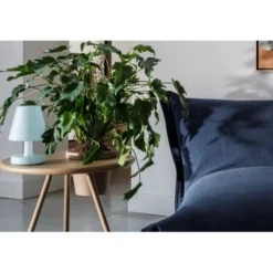 Fatboy ® Edison the Ambiance polar blue