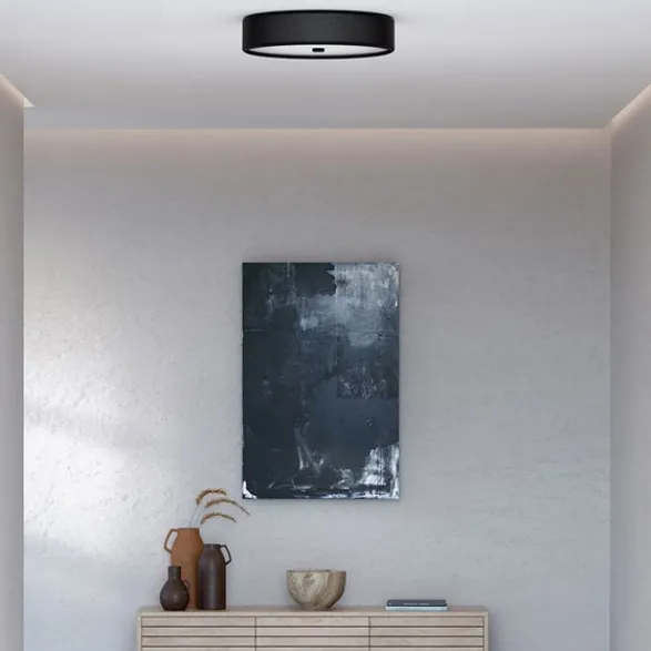 Herstal Grain L plafond mattsvart E14