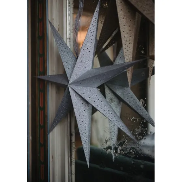 Alde & Lind Julstjärna Twiggy D75 glitter silver