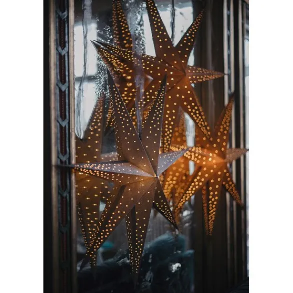 Alde & Lind Julstjärna Twiggy D75 glitter silver