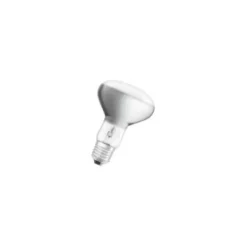 Ekonomiljus Reflek R80 40W E27 230V