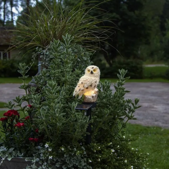 Star Trading Solcellsdekoration Owl Beige 33cm